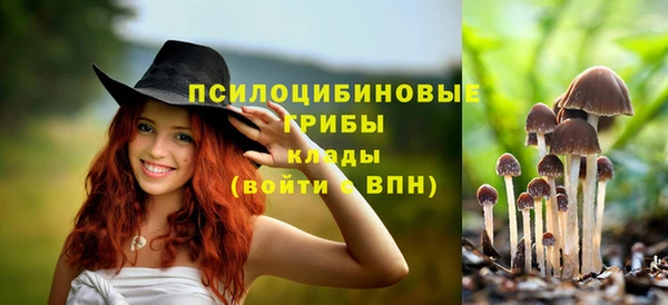 амф Зерноград