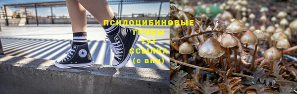 PSILOCYBIN Зеленокумск