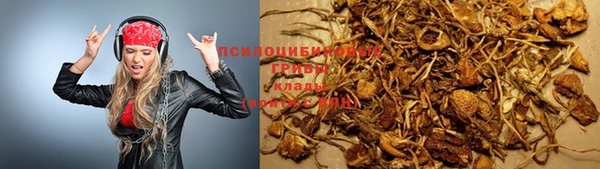 PSILOCYBIN Зеленокумск