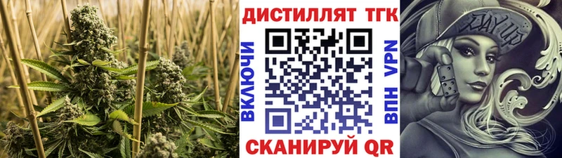 Купить где  Ельня  ТГК THC oil 