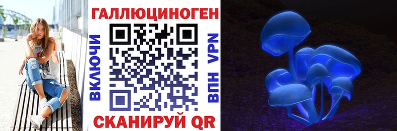 Галлюциногенные грибы MAGIC MUSHROOMS  Купить где  Ельня 
